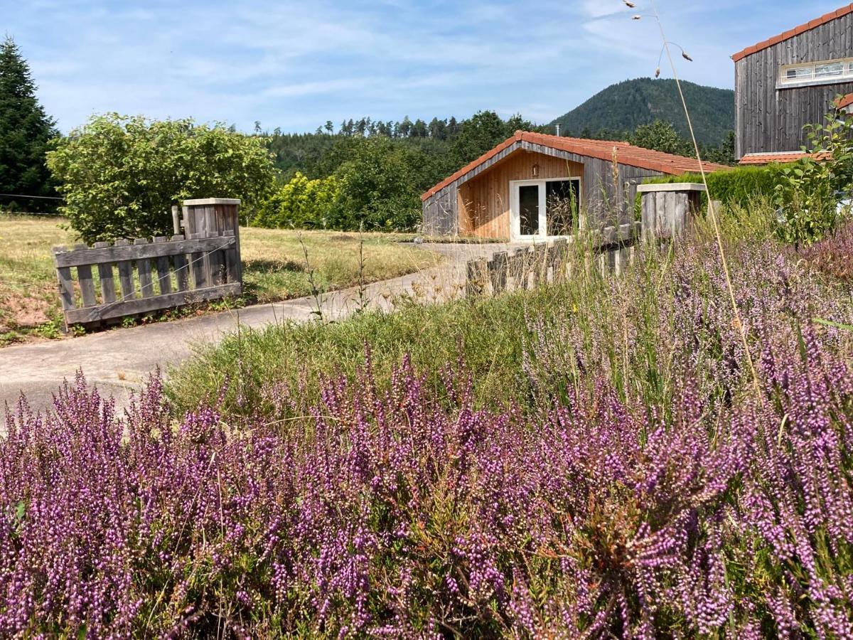 Le Chalet dans la Nature Saulcy-sur-Meurthe Extérieur photo